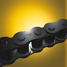 Whitney Roller Chain from Renold